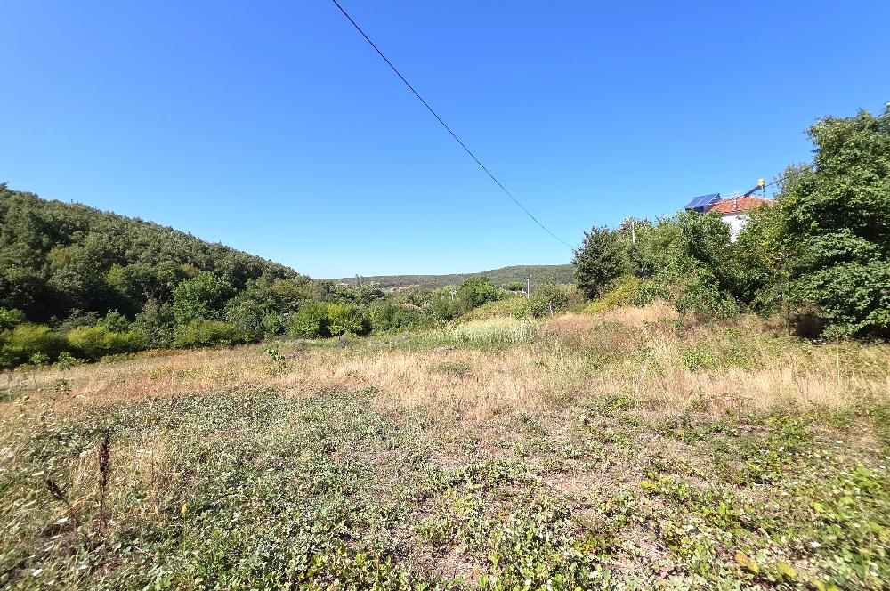 C21 Cius; Haydariye YolaCephe 4 MüstakilTapu Satılık İmarlı Arsa