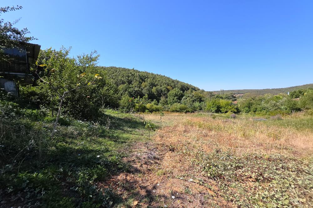 C21 Cius; Haydariye YolaCephe 4 MüstakilTapu Satılık İmarlı Arsa