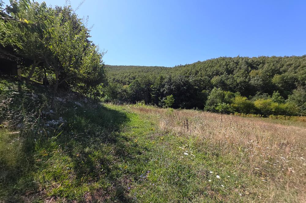 C21 Cius; Haydariye YolaCephe 4 MüstakilTapu Satılık İmarlı Arsa
