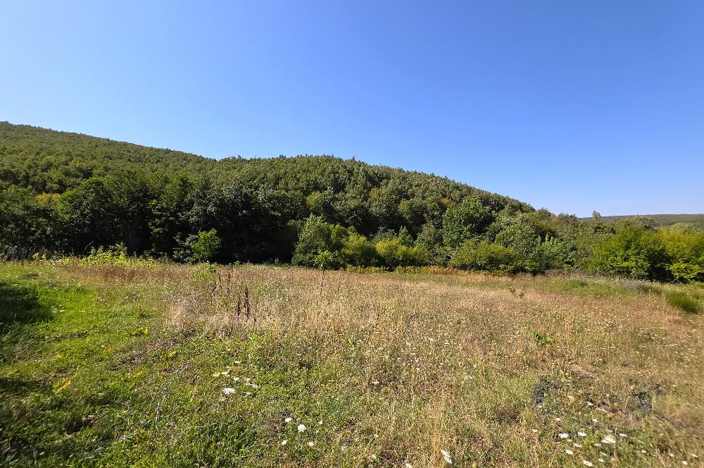 C21 Cius; Haydariye YolaCephe 4 MüstakilTapu Satılık İmarlı Arsa