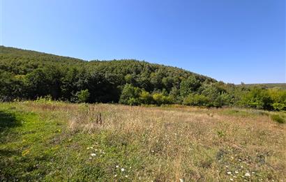 C21 Cius; Haydariye YolaCephe 4 MüstakilTapu Satılık İmarlı Arsa