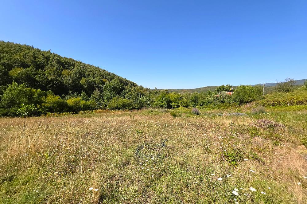 C21 Cius; Haydariye YolaCephe 4 MüstakilTapu Satılık İmarlı Arsa