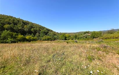 C21 Cius; Haydariye YolaCephe 4 MüstakilTapu Satılık İmarlı Arsa
