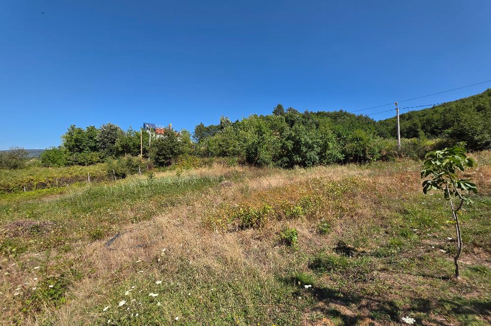 C21 Cius; Haydariye YolaCephe 4 MüstakilTapu Satılık İmarlı Arsa