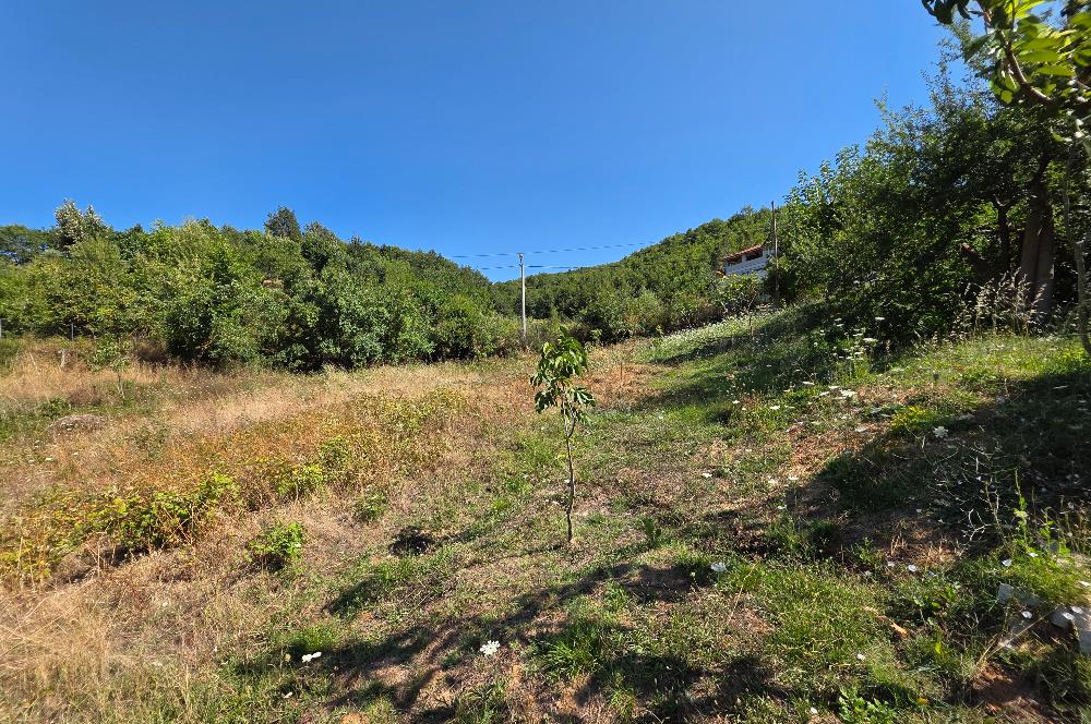 C21 Cius; Haydariye YolaCephe 4 MüstakilTapu Satılık İmarlı Arsa