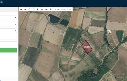 C21 LOCA'DAN 9940m² CEVİZLİK ETRAFI ÇEVRİLİ SUYU İÇİNDE TARLA