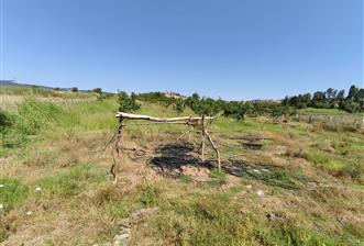 C21 LOCA'DAN 9940m² CEVİZLİK ETRAFI ÇEVRİLİ SUYU İÇİNDE TARLA