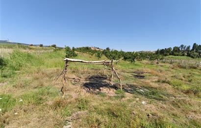 C21 LOCA'DAN 9940m² CEVİZLİK ETRAFI ÇEVRİLİ SUYU İÇİNDE TARLA