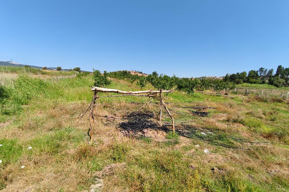 C21 LOCA'DAN 9940m² CEVİZLİK ETRAFI ÇEVRİLİ SUYU İÇİNDE TARLA
