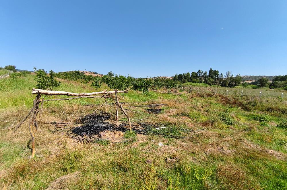 C21 LOCA'DAN 9940m² CEVİZLİK ETRAFI ÇEVRİLİ SUYU İÇİNDE TARLA