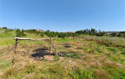 C21 LOCA'DAN 9940m² CEVİZLİK ETRAFI ÇEVRİLİ SUYU İÇİNDE TARLA