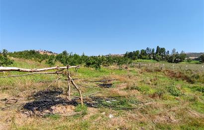 C21 LOCA'DAN 9940m² CEVİZLİK ETRAFI ÇEVRİLİ SUYU İÇİNDE TARLA