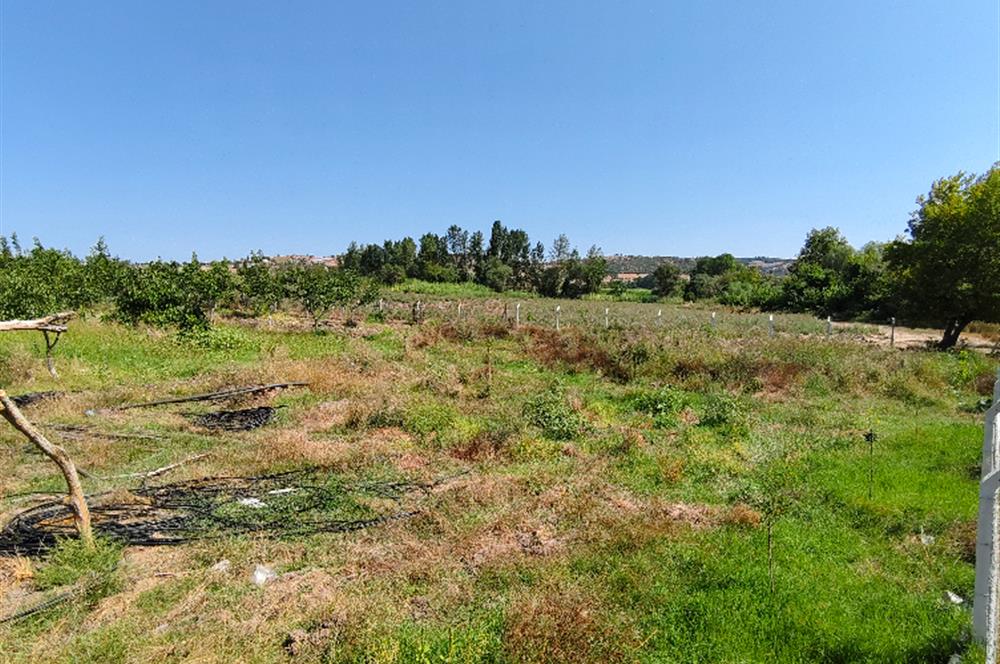 C21 LOCA'DAN 9940m² CEVİZLİK ETRAFI ÇEVRİLİ SUYU İÇİNDE TARLA