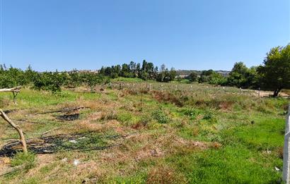 C21 LOCA'DAN 9940m² CEVİZLİK ETRAFI ÇEVRİLİ SUYU İÇİNDE TARLA