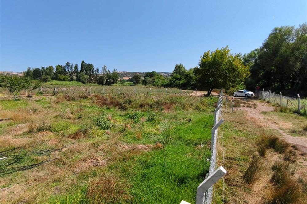 C21 LOCA'DAN 9940m² CEVİZLİK ETRAFI ÇEVRİLİ SUYU İÇİNDE TARLA