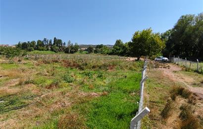 C21 LOCA'DAN 9940m² CEVİZLİK ETRAFI ÇEVRİLİ SUYU İÇİNDE TARLA