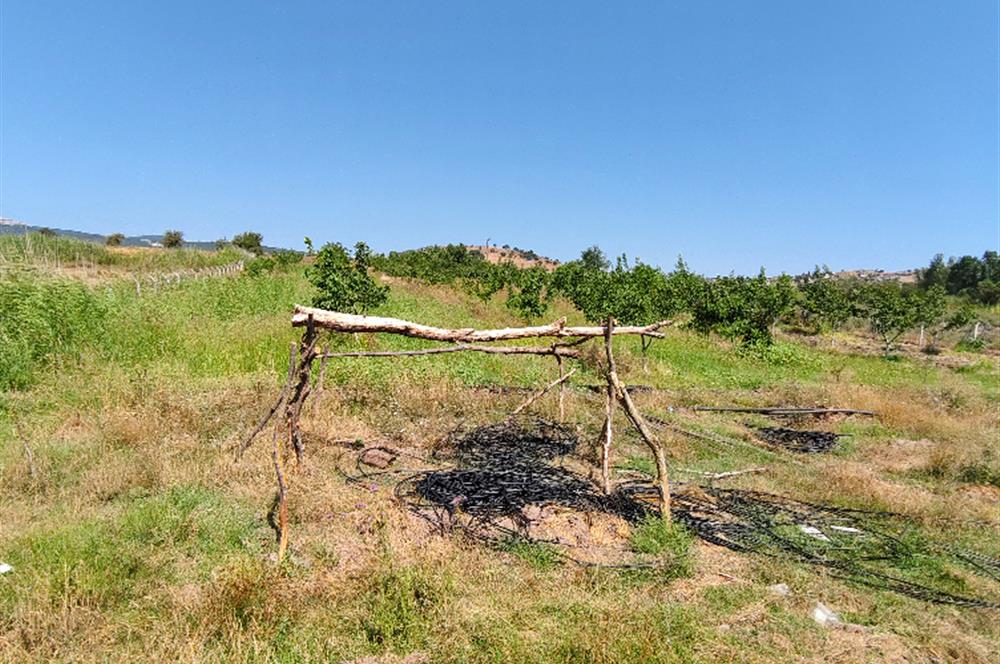 C21 LOCA'DAN 9940m² CEVİZLİK ETRAFI ÇEVRİLİ SUYU İÇİNDE TARLA