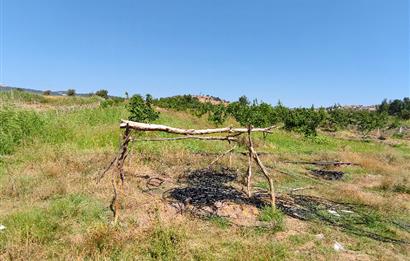 C21 LOCA'DAN 9940m² CEVİZLİK ETRAFI ÇEVRİLİ SUYU İÇİNDE TARLA