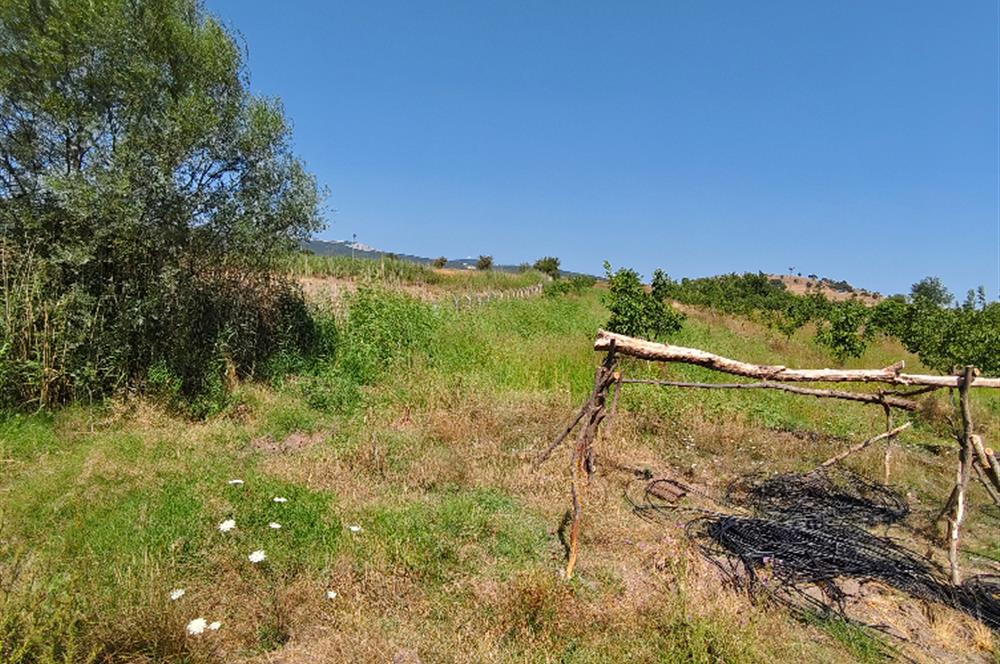 C21 LOCA'DAN 9940m² CEVİZLİK ETRAFI ÇEVRİLİ SUYU İÇİNDE TARLA