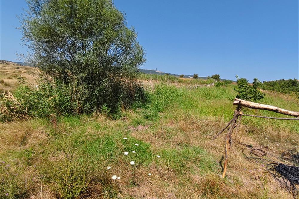 C21 LOCA'DAN 9940m² CEVİZLİK ETRAFI ÇEVRİLİ SUYU İÇİNDE TARLA