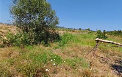 C21 LOCA'DAN 9940m² CEVİZLİK ETRAFI ÇEVRİLİ SUYU İÇİNDE TARLA