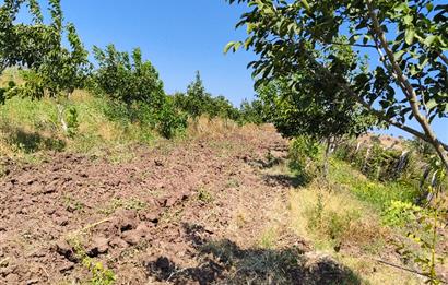 C21 LOCA'DAN 9940m² CEVİZLİK ETRAFI ÇEVRİLİ SUYU İÇİNDE TARLA