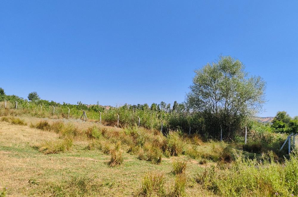 C21 LOCA'DAN 9940m² CEVİZLİK ETRAFI ÇEVRİLİ SUYU İÇİNDE TARLA
