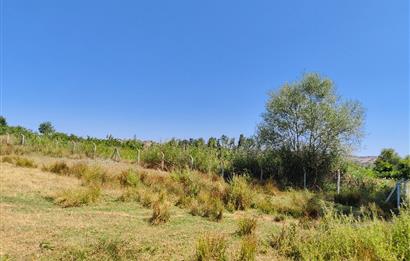 C21 LOCA'DAN 9940m² CEVİZLİK ETRAFI ÇEVRİLİ SUYU İÇİNDE TARLA