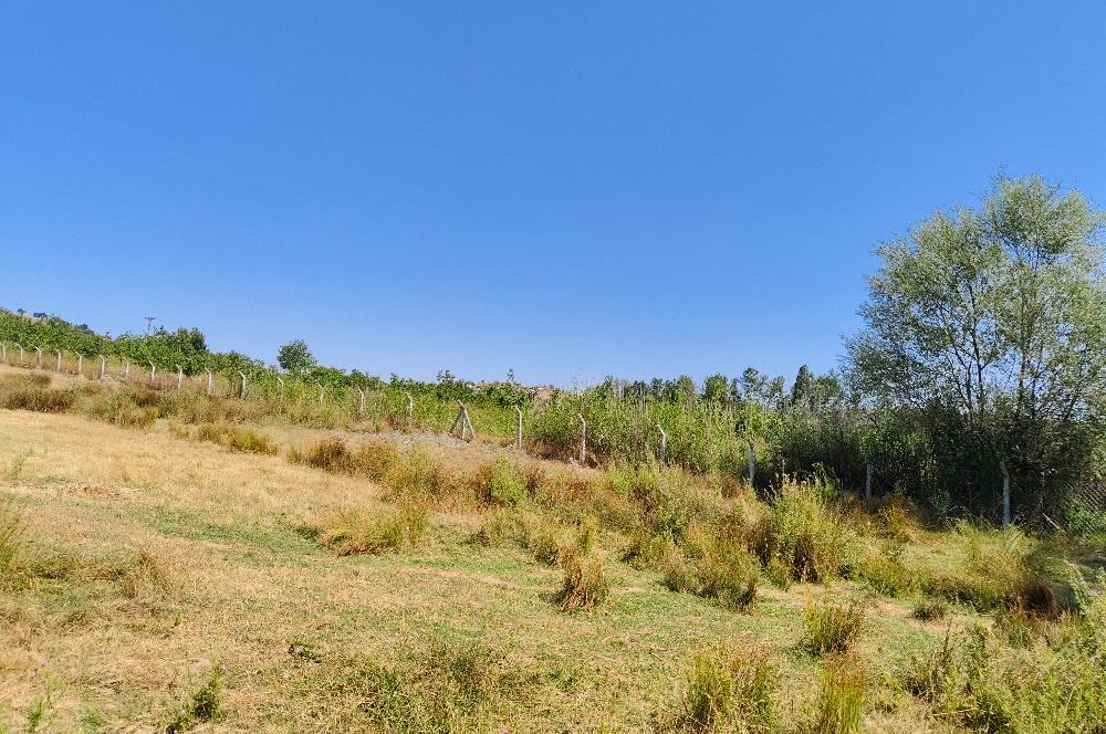 C21 LOCA'DAN 9940m² CEVİZLİK ETRAFI ÇEVRİLİ SUYU İÇİNDE TARLA