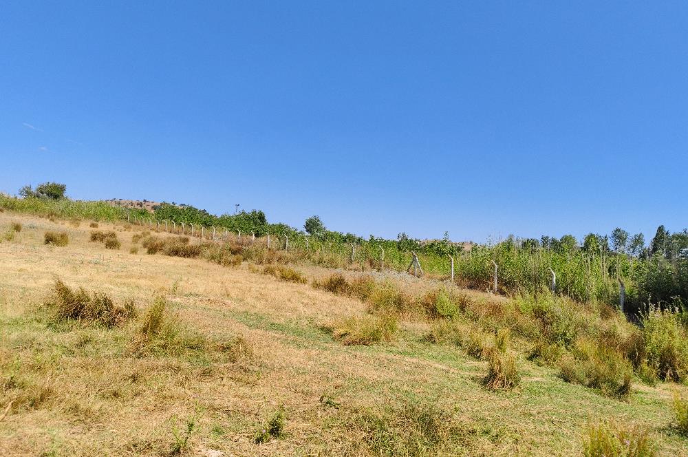 C21 LOCA'DAN 9940m² CEVİZLİK ETRAFI ÇEVRİLİ SUYU İÇİNDE TARLA