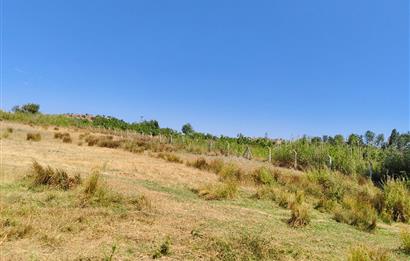 C21 LOCA'DAN 9940m² CEVİZLİK ETRAFI ÇEVRİLİ SUYU İÇİNDE TARLA