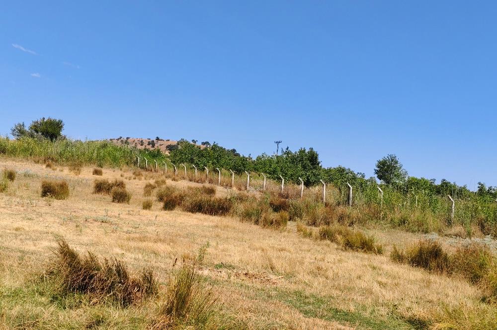C21 LOCA'DAN 9940m² CEVİZLİK ETRAFI ÇEVRİLİ SUYU İÇİNDE TARLA