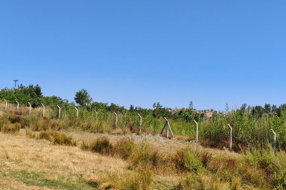 C21 LOCA'DAN 9940m² CEVİZLİK ETRAFI ÇEVRİLİ SUYU İÇİNDE TARLA