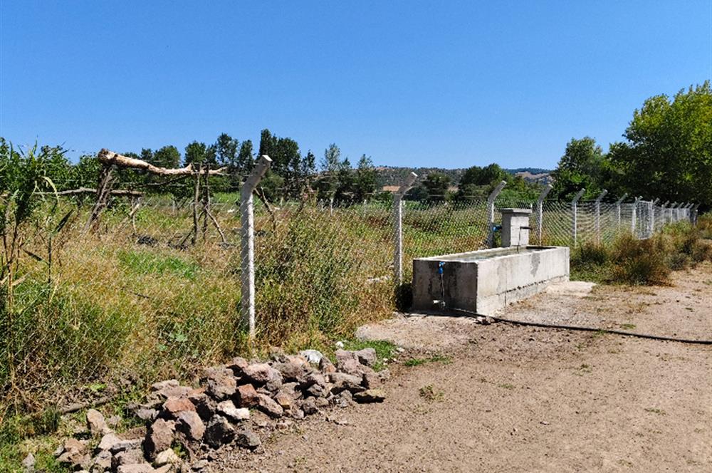 C21 LOCA'DAN 9940m² CEVİZLİK ETRAFI ÇEVRİLİ SUYU İÇİNDE TARLA