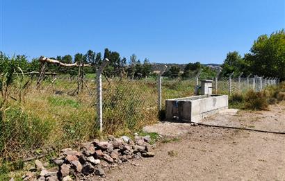 C21 LOCA'DAN 9940m² CEVİZLİK ETRAFI ÇEVRİLİ SUYU İÇİNDE TARLA