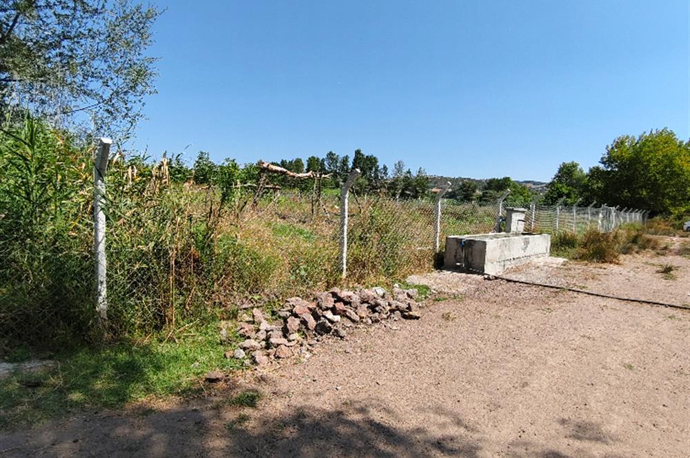C21 LOCA'DAN 9940m² CEVİZLİK ETRAFI ÇEVRİLİ SUYU İÇİNDE TARLA