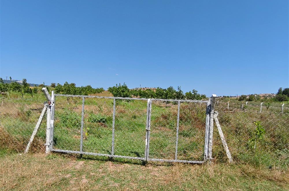 C21 LOCA'DAN 9940m² CEVİZLİK ETRAFI ÇEVRİLİ SUYU İÇİNDE TARLA