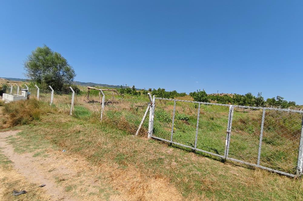 C21 LOCA'DAN 9940m² CEVİZLİK ETRAFI ÇEVRİLİ SUYU İÇİNDE TARLA