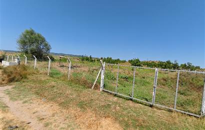 C21 LOCA'DAN 9940m² CEVİZLİK ETRAFI ÇEVRİLİ SUYU İÇİNDE TARLA