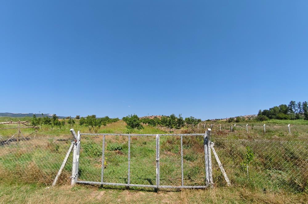 C21 LOCA'DAN 9940m² CEVİZLİK ETRAFI ÇEVRİLİ SUYU İÇİNDE TARLA