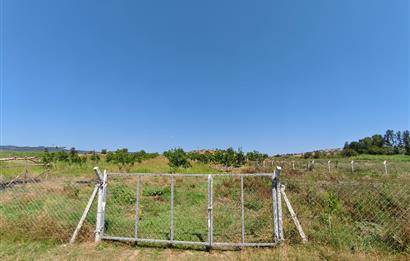 C21 LOCA'DAN 9940m² CEVİZLİK ETRAFI ÇEVRİLİ SUYU İÇİNDE TARLA