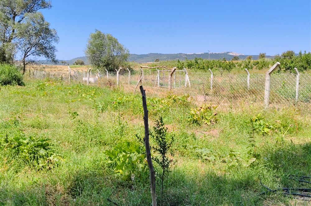 C21 LOCA'DAN 9940m² CEVİZLİK ETRAFI ÇEVRİLİ SUYU İÇİNDE TARLA