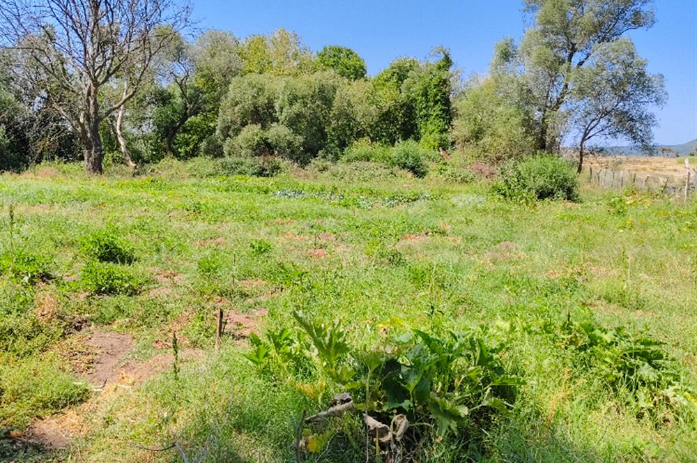 C21 LOCA'DAN 9940m² CEVİZLİK ETRAFI ÇEVRİLİ SUYU İÇİNDE TARLA