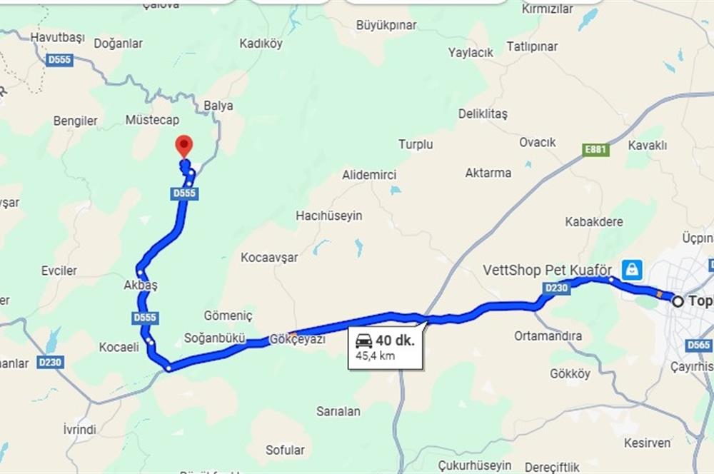 C21 LOCA'DAN BALYA ÇAKALLARDA 11048m² TARLA