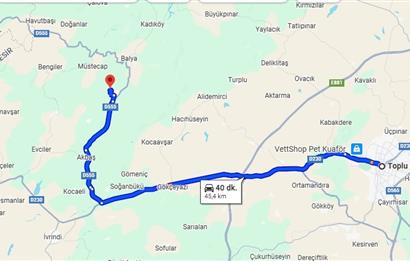 C21 LOCA'DAN BALYA ÇAKALLARDA 11048m² TARLA