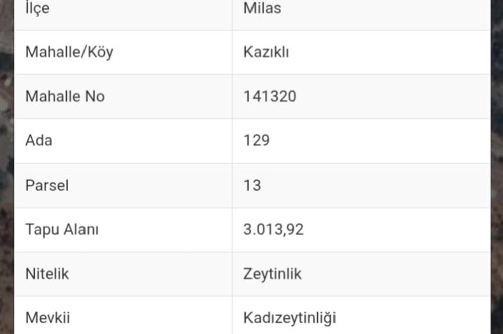 MUĞLA MİLAS'TA KAÇİRİLMAYACAK HİSSELİ ARSA 