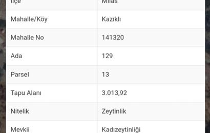 MUĞLA MİLAS'TA KAÇİRİLMAYACAK HİSSELİ ARSA 