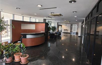 C21 NEXAR'DAN-HADIMKÖY CADDESİ-ÇİFT CEPHE-6093 M2-FABRİKA&PLAZA