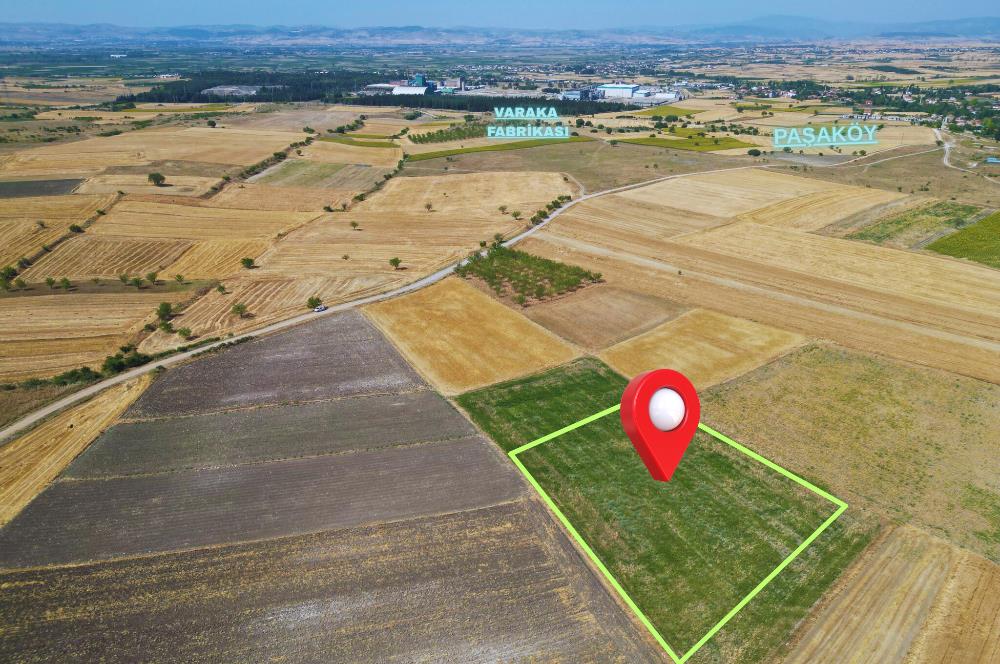 C21 WİNNER PAŞAKÖY'DE 5.045 m² SATILIK TARLA