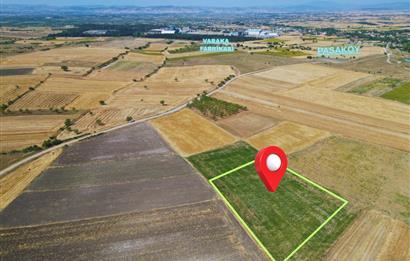 C21 WİNNER PAŞAKÖY'DE 5.045 m² SATILIK TARLA